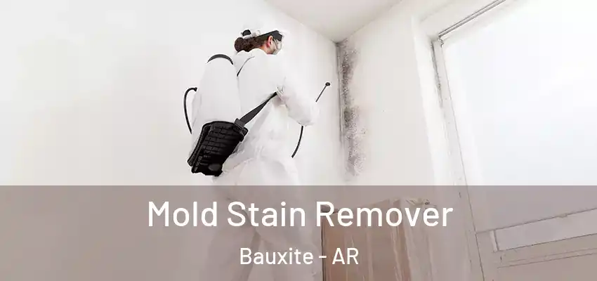  Mold Stain Remover Bauxite - AR