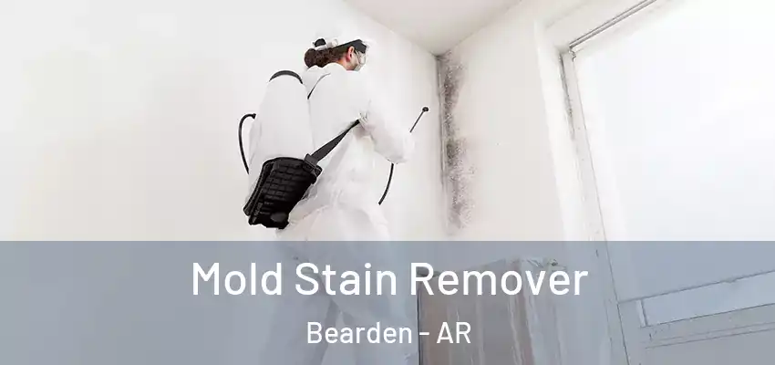  Mold Stain Remover Bearden - AR