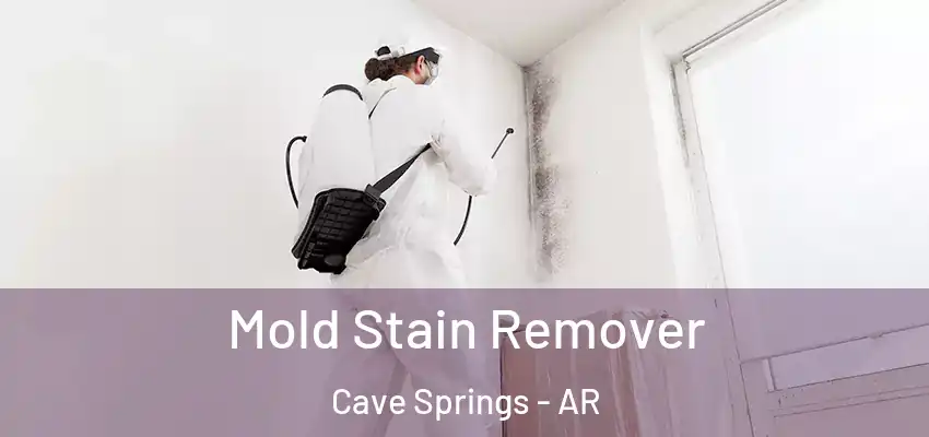 Mold Stain Remover Cave Springs - AR