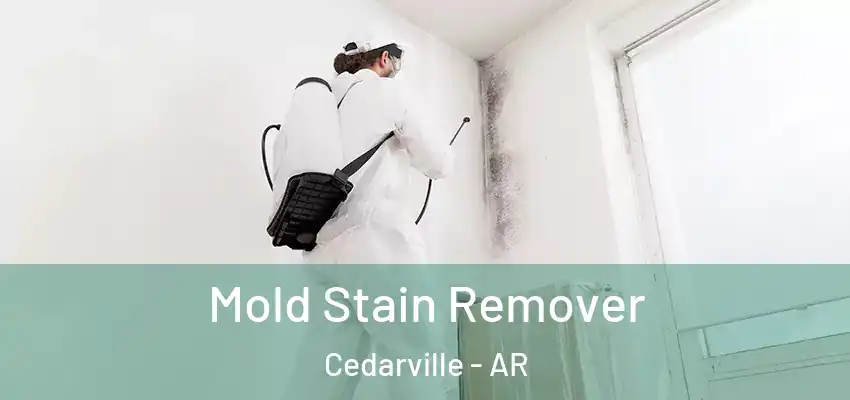  Mold Stain Remover Cedarville - AR