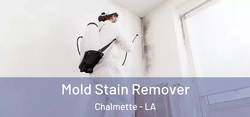  Mold Stain Remover Chalmette - LA