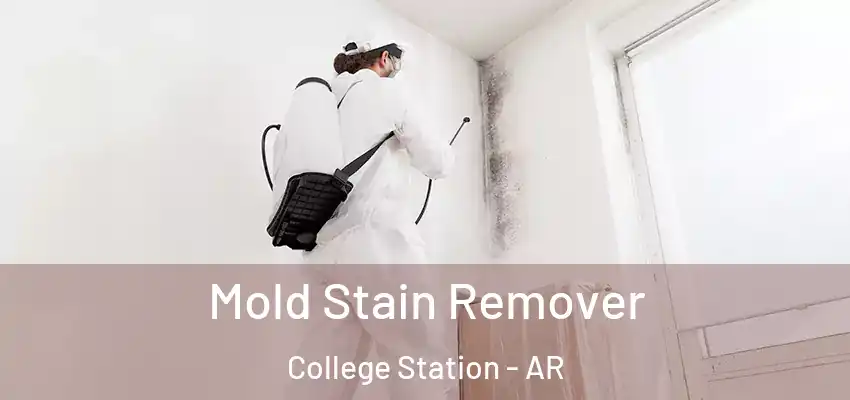  Mold Stain Remover College Station - AR