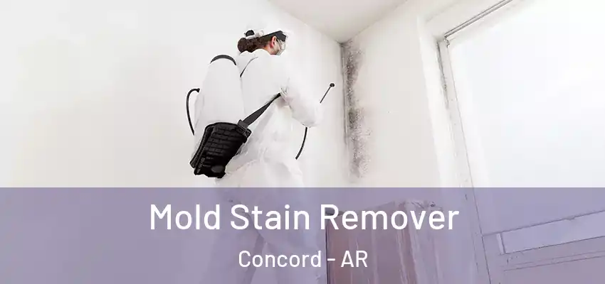  Mold Stain Remover Concord - AR