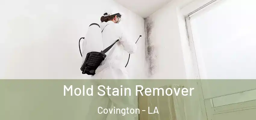  Mold Stain Remover Covington - LA