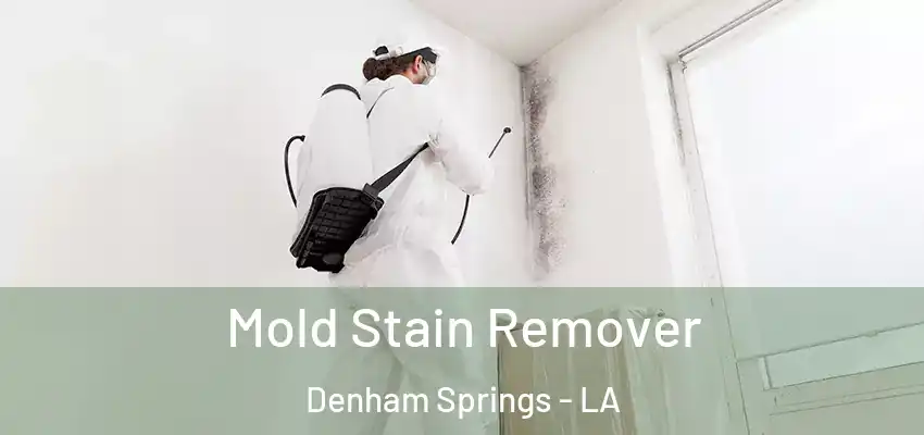 Mold Stain Remover Denham Springs - LA