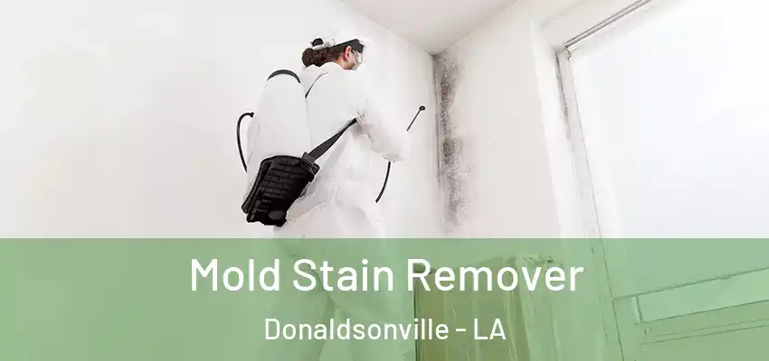 Mold Stain Remover Donaldsonville - LA