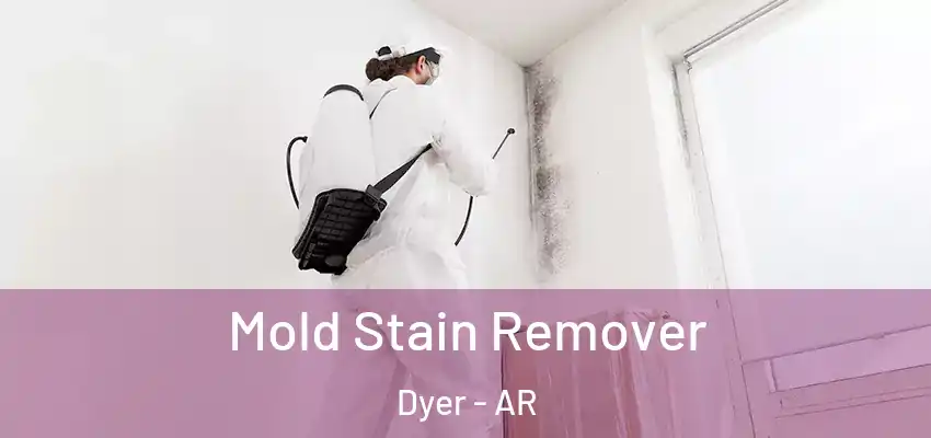  Mold Stain Remover Dyer - AR