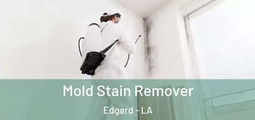  Mold Stain Remover Edgard - LA