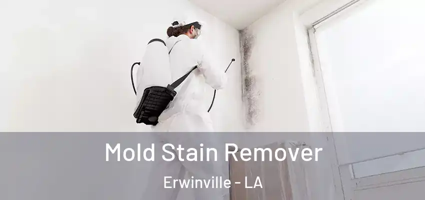  Mold Stain Remover Erwinville - LA