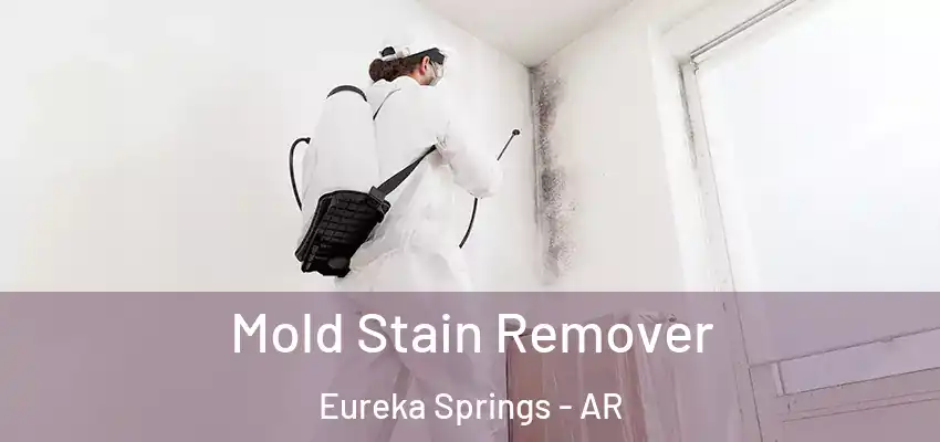Mold Stain Remover Eureka Springs - AR