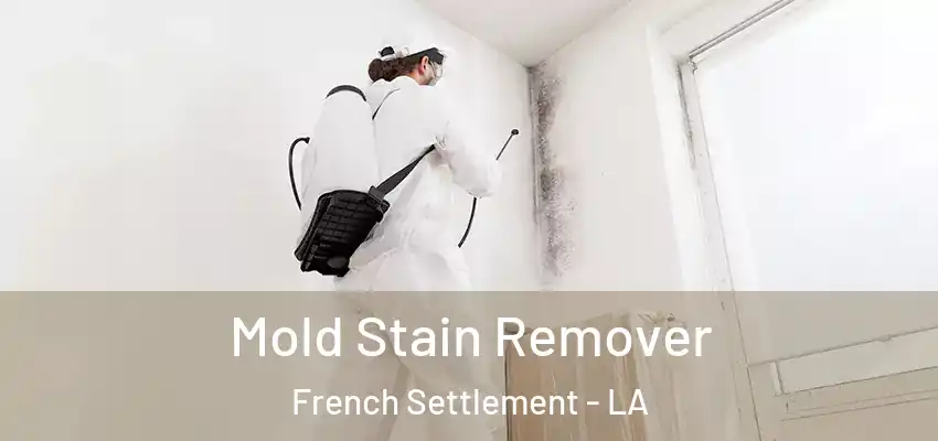  Mold Stain Remover French Settlement - LA