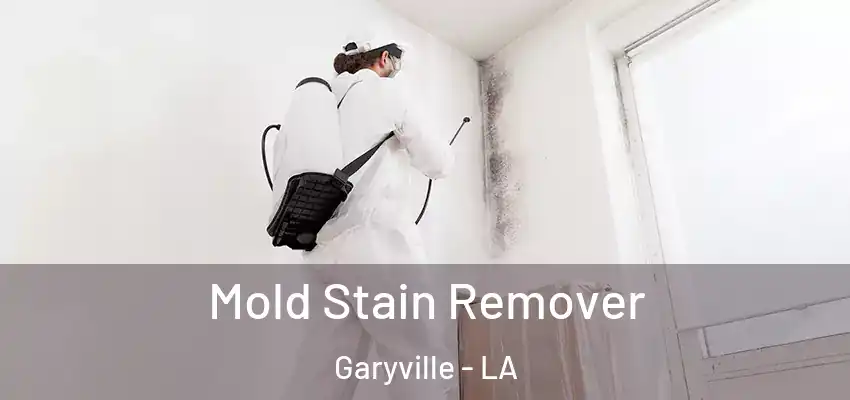  Mold Stain Remover Garyville - LA