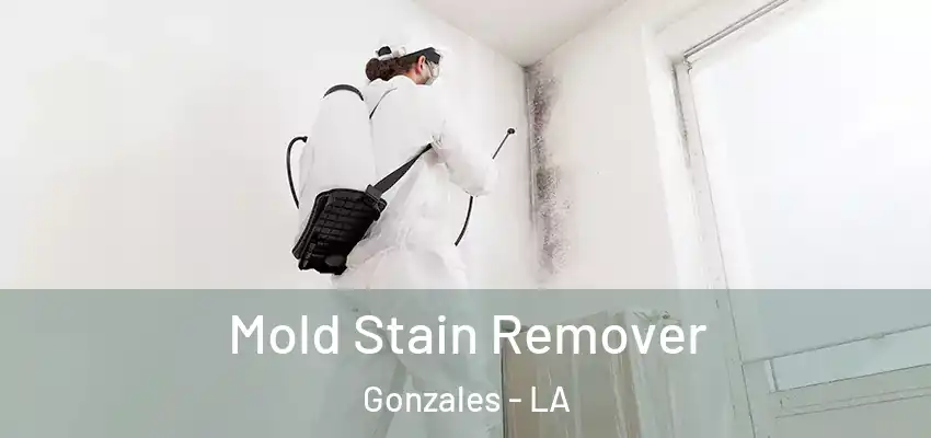  Mold Stain Remover Gonzales - LA