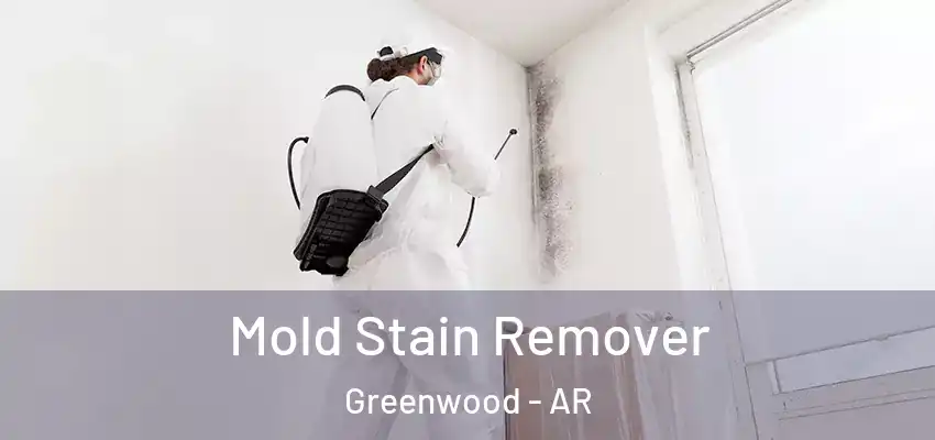  Mold Stain Remover Greenwood - AR
