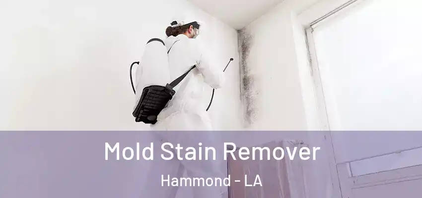  Mold Stain Remover Hammond - LA
