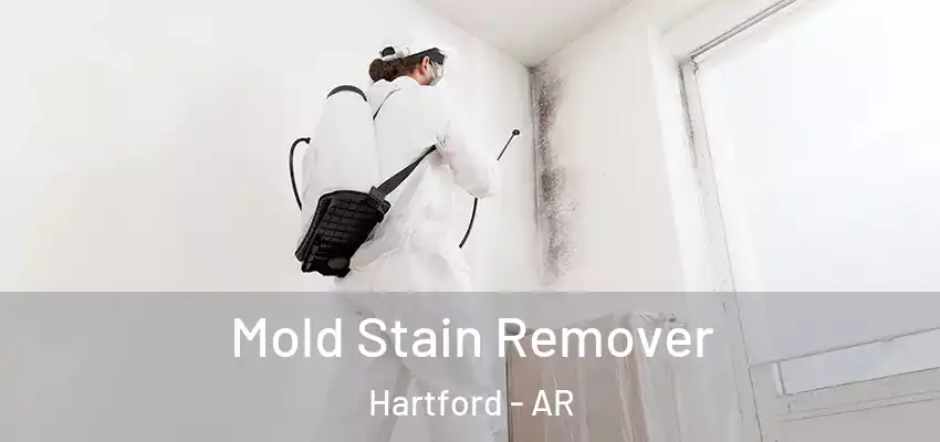  Mold Stain Remover Hartford - AR