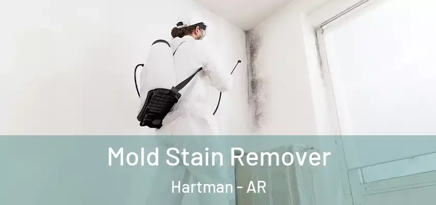  Mold Stain Remover Hartman - AR