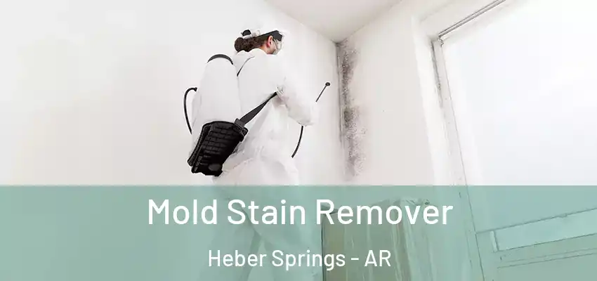  Mold Stain Remover Heber Springs - AR
