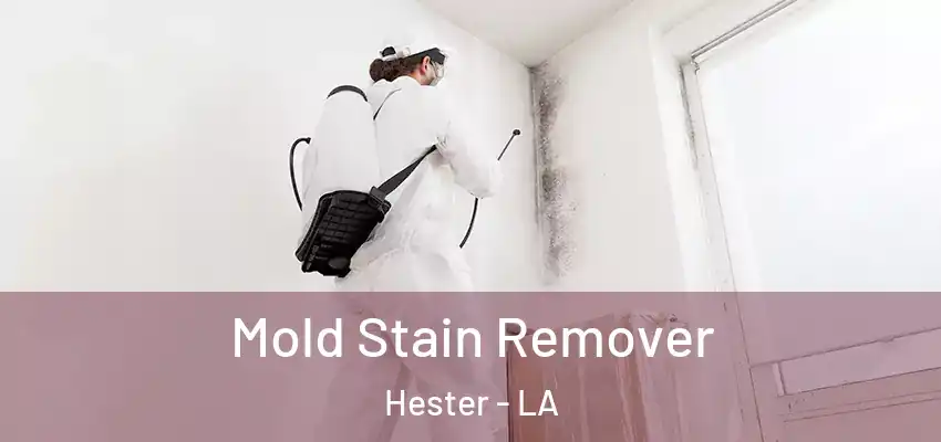  Mold Stain Remover Hester - LA