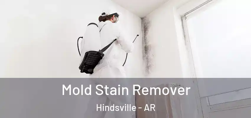  Mold Stain Remover Hindsville - AR