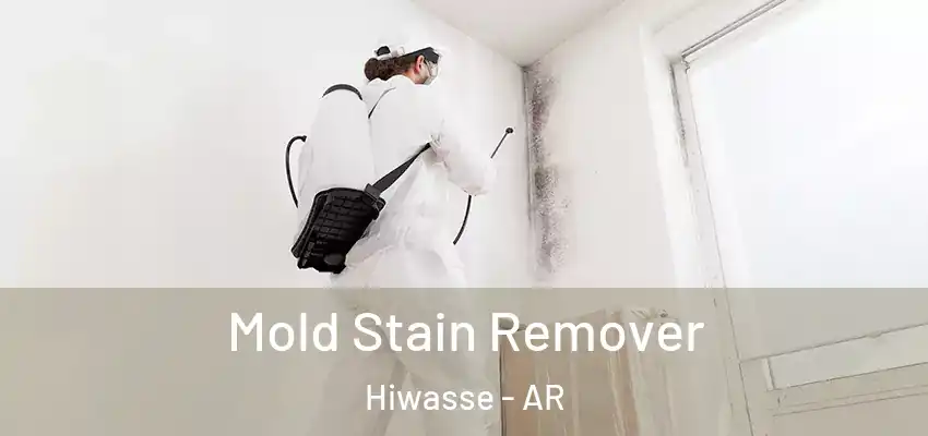  Mold Stain Remover Hiwasse - AR