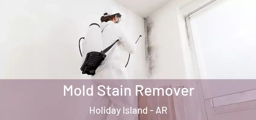  Mold Stain Remover Holiday Island - AR