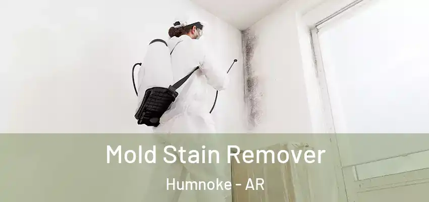  Mold Stain Remover Humnoke - AR