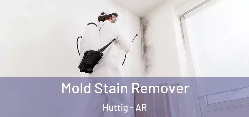  Mold Stain Remover Huttig - AR