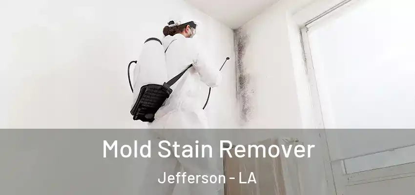  Mold Stain Remover Jefferson - LA