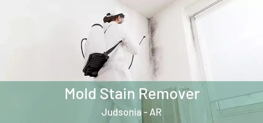  Mold Stain Remover Judsonia - AR