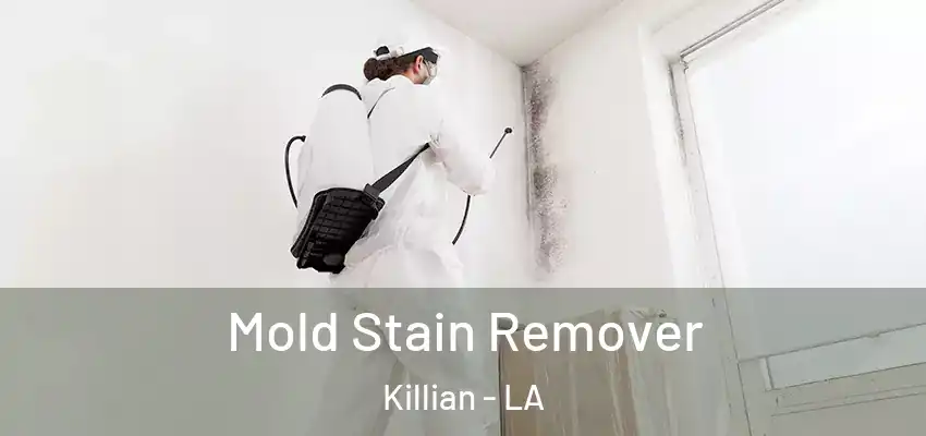  Mold Stain Remover Killian - LA
