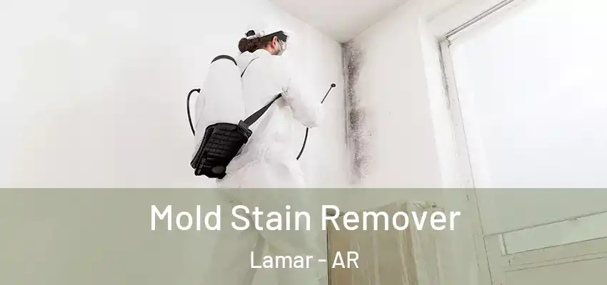  Mold Stain Remover Lamar - AR