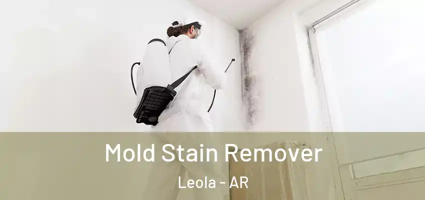  Mold Stain Remover Leola - AR