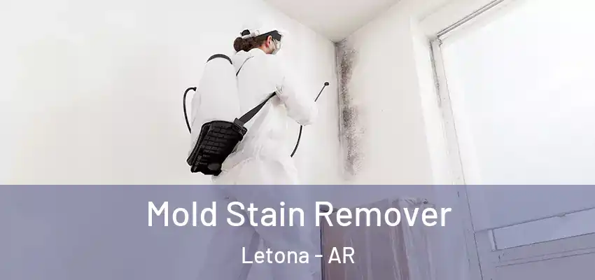  Mold Stain Remover Letona - AR