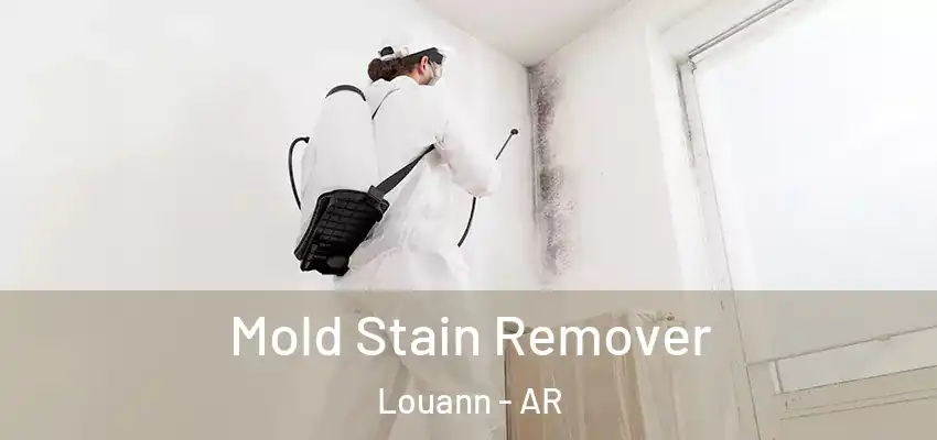  Mold Stain Remover Louann - AR