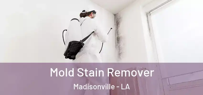  Mold Stain Remover Madisonville - LA