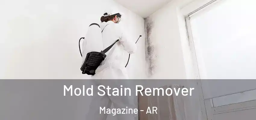  Mold Stain Remover Magazine - AR