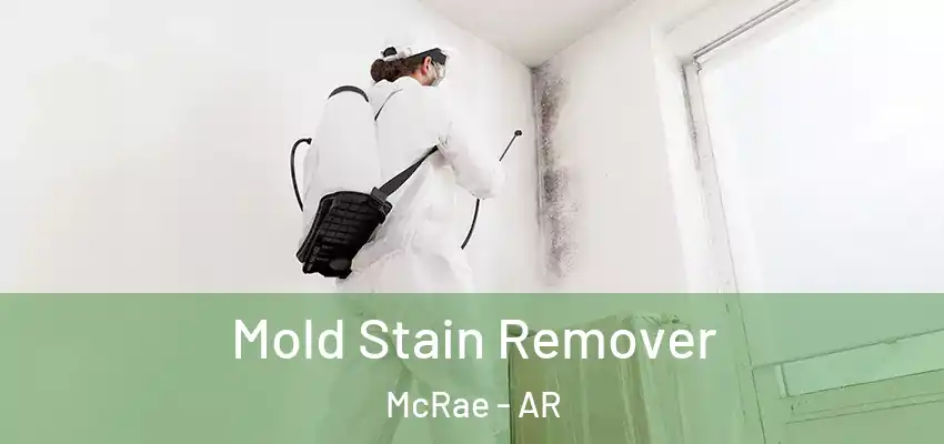  Mold Stain Remover McRae - AR