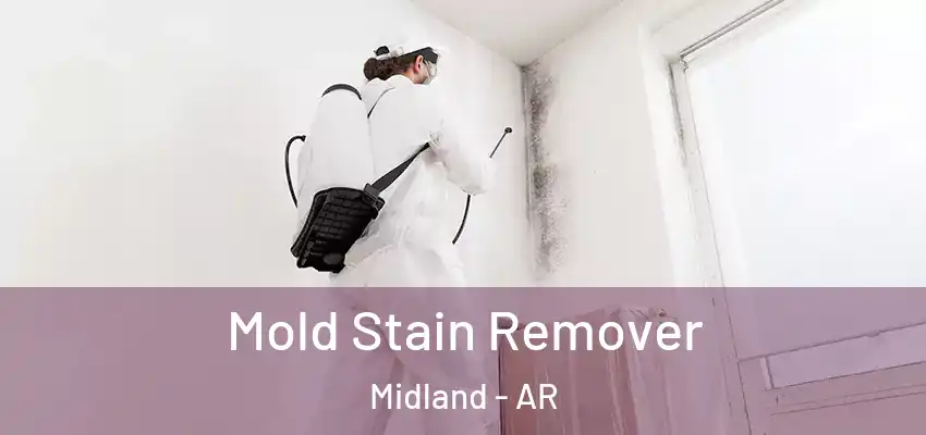  Mold Stain Remover Midland - AR