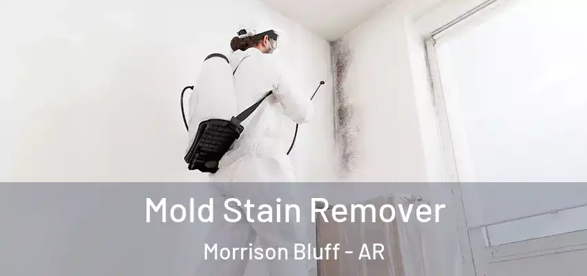  Mold Stain Remover Morrison Bluff - AR