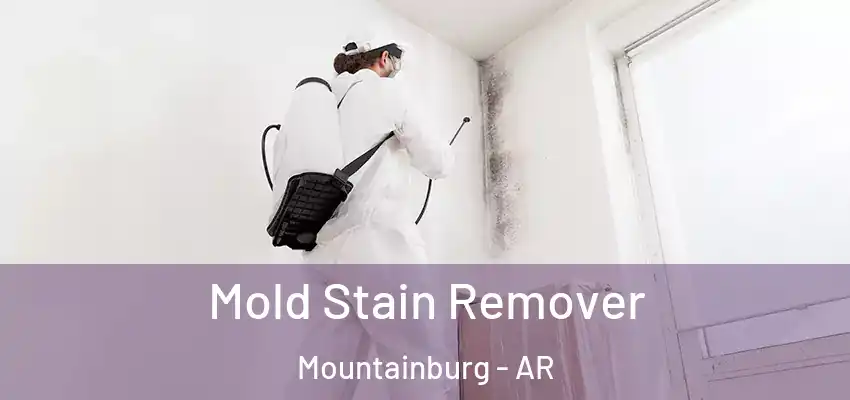  Mold Stain Remover Mountainburg - AR