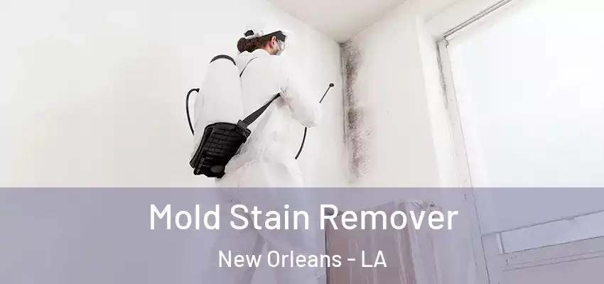  Mold Stain Remover New Orleans - LA