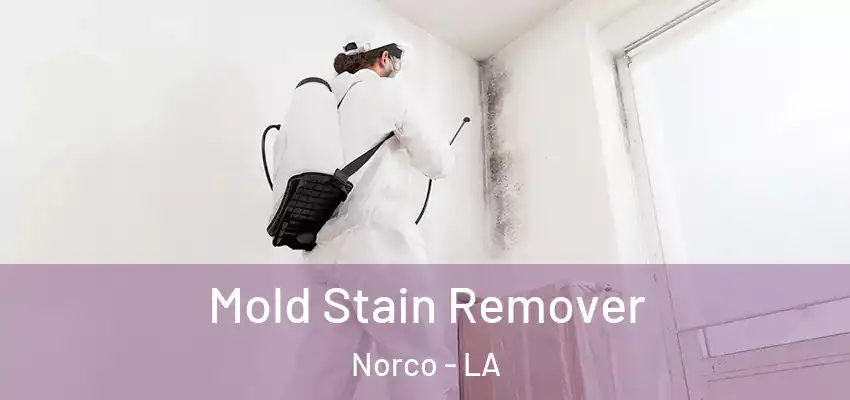  Mold Stain Remover Norco - LA