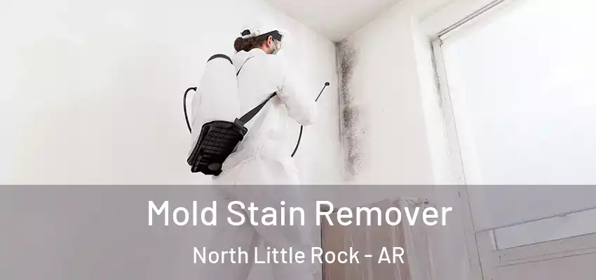  Mold Stain Remover North Little Rock - AR