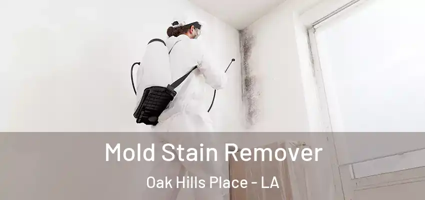  Mold Stain Remover Oak Hills Place - LA