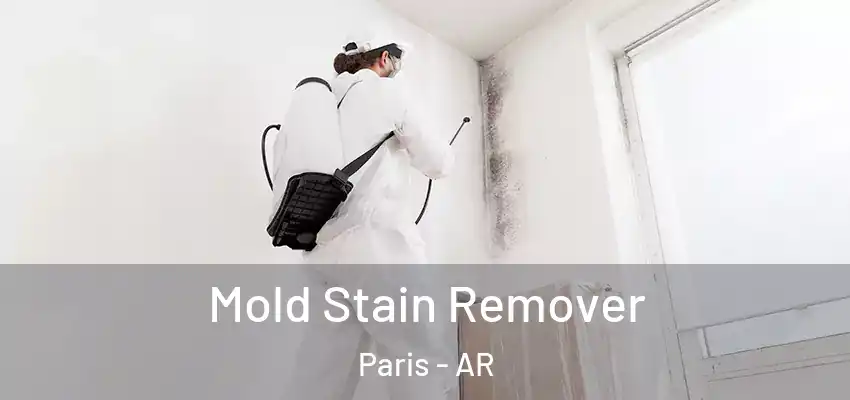  Mold Stain Remover Paris - AR
