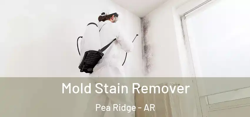  Mold Stain Remover Pea Ridge - AR