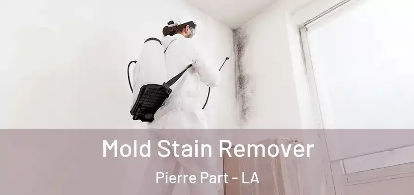  Mold Stain Remover Pierre Part - LA