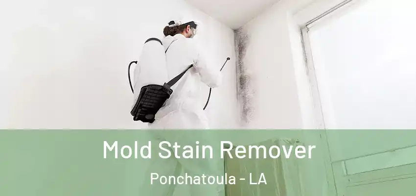  Mold Stain Remover Ponchatoula - LA