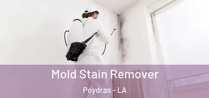  Mold Stain Remover Poydras - LA